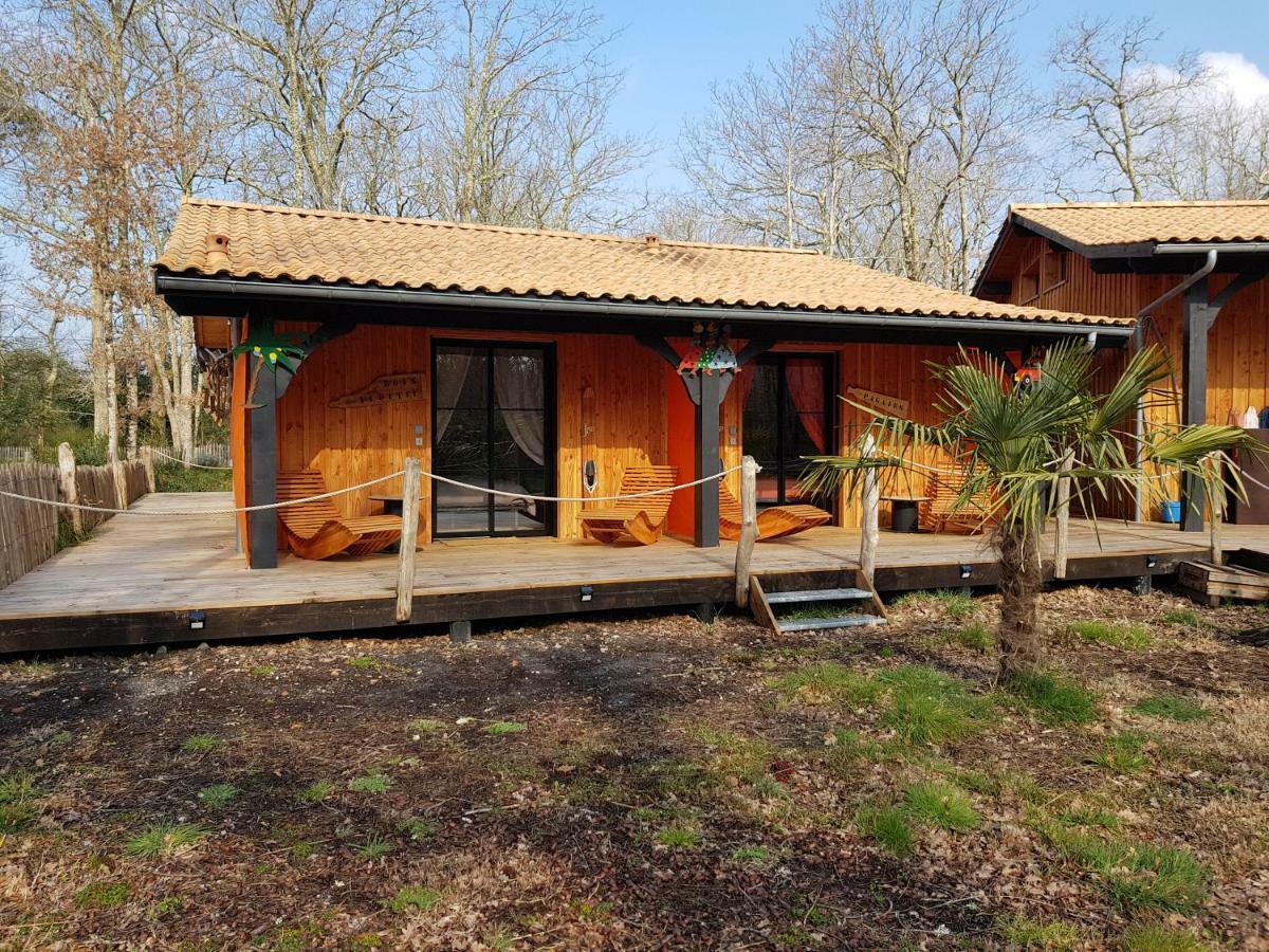 Au Bois Flotte Bed & Breakfast Hourtin Eksteriør bilde